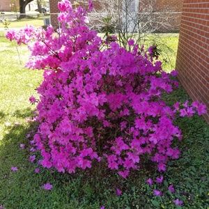 Meet your Posher, Kennedy